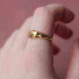 Molten Ring